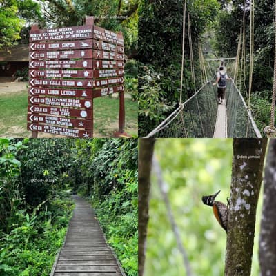 Taman Negara National Park